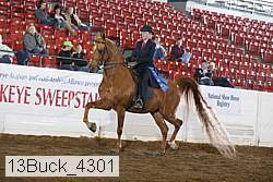 13buck_4301 proof