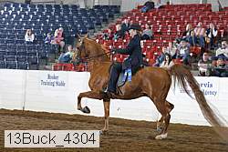 13buck_4304 proof