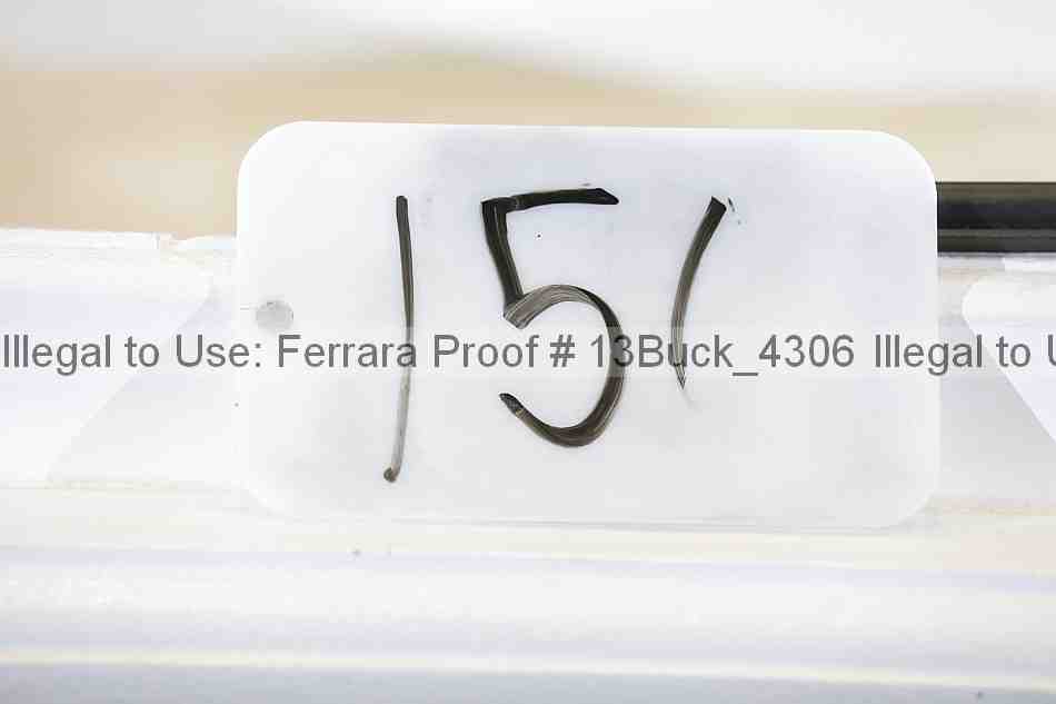 Proof 13buck_4306