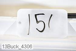 13buck_4306 proof