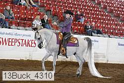 13buck_4310 proof