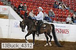 13buck_4312 proof