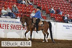 13buck_4314 proof