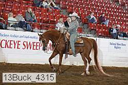 13buck_4315 proof