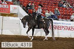 13buck_4319 proof