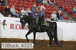 13buck_4323 proof