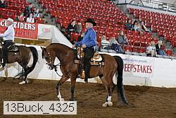 13buck_4325 proof