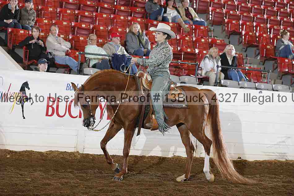 Proof 13buck_4327