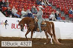 13buck_4327 proof