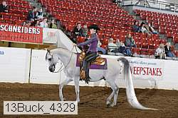 13buck_4329 proof