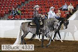 13buck_4332 proof