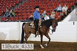 13buck_4333 proof