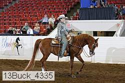 13buck_4335 proof