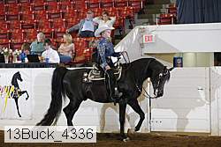 13buck_4336 proof
