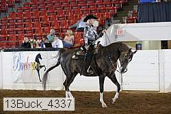 13buck_4337 proof