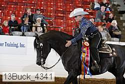 13buck_4341 proof