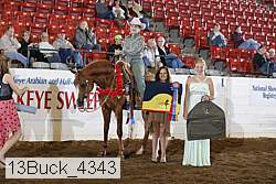 13buck_4343 proof
