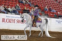 13buck_4345 proof