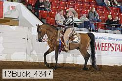 13buck_4347 proof