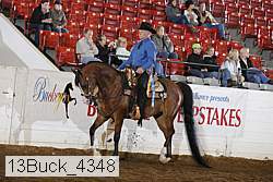 13buck_4348 proof