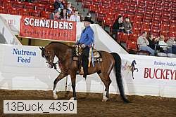 13buck_4350 proof
