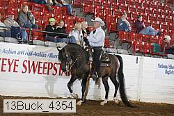 13buck_4354 proof