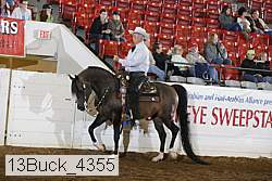 13buck_4355 proof