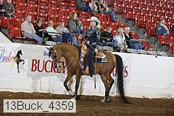 13buck_4359 proof
