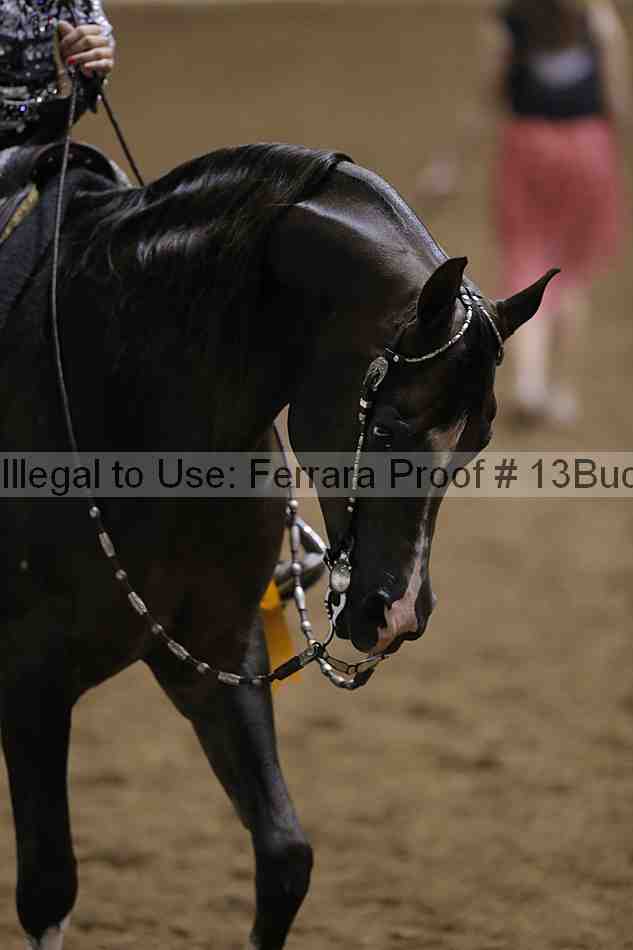 Proof 13buck_4362