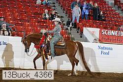 13buck_4366 proof