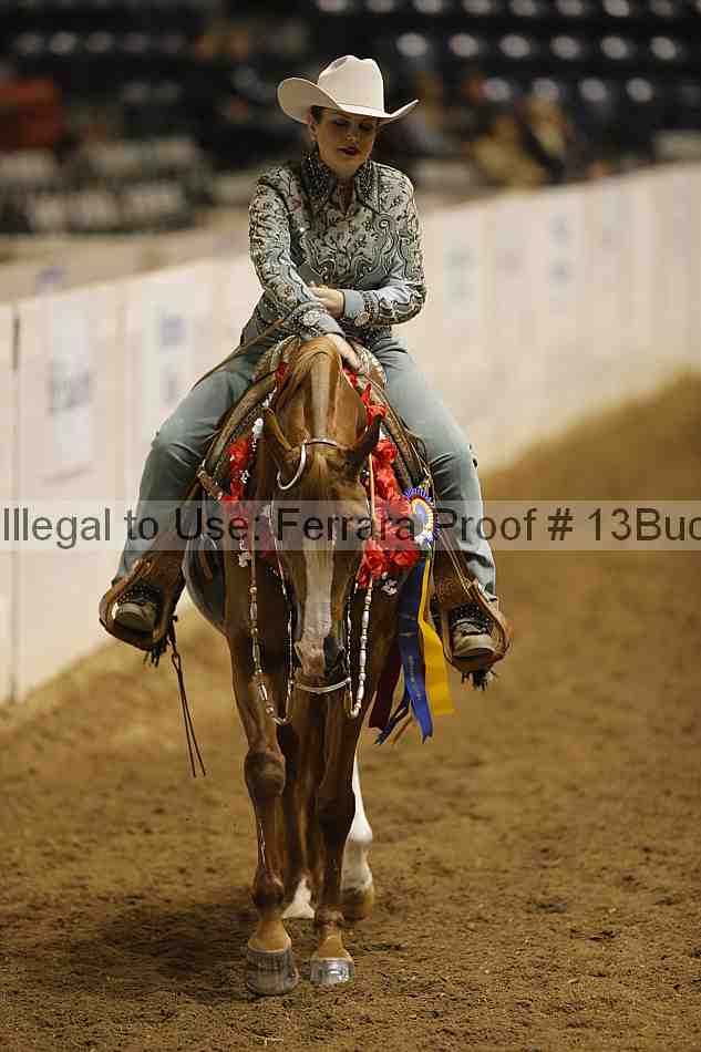 Proof 13buck_4369