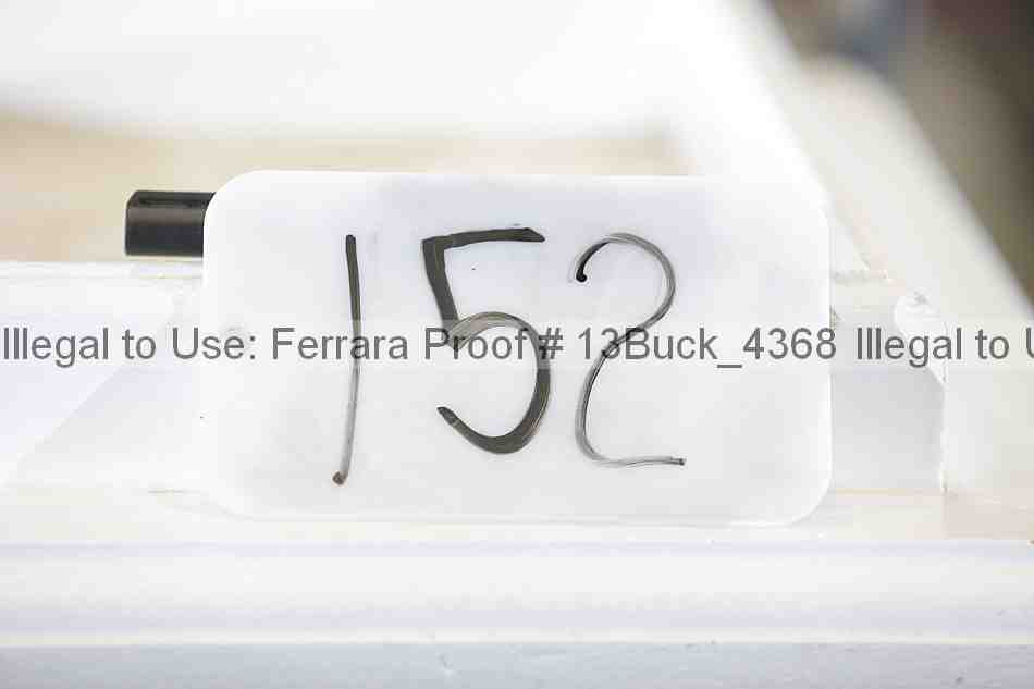 Proof 13buck_4368