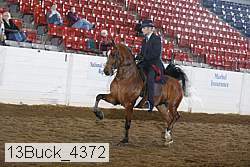 13buck_4372 proof