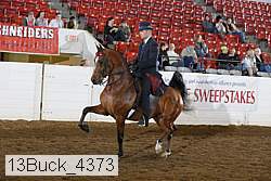 13buck_4373 proof