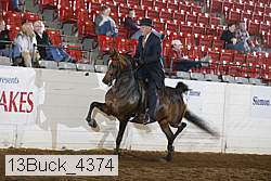 13buck_4374 proof