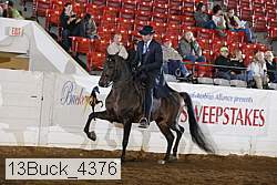 13buck_4376 proof