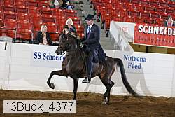 13buck_4377 proof