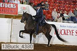 13buck_4380 proof