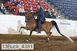 13buck_4381 proof