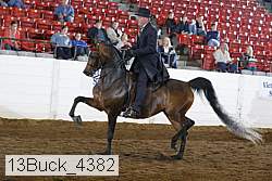 13buck_4382 proof