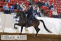 13buck_4383 proof