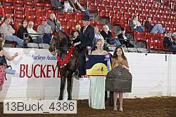 13buck_4386 proof