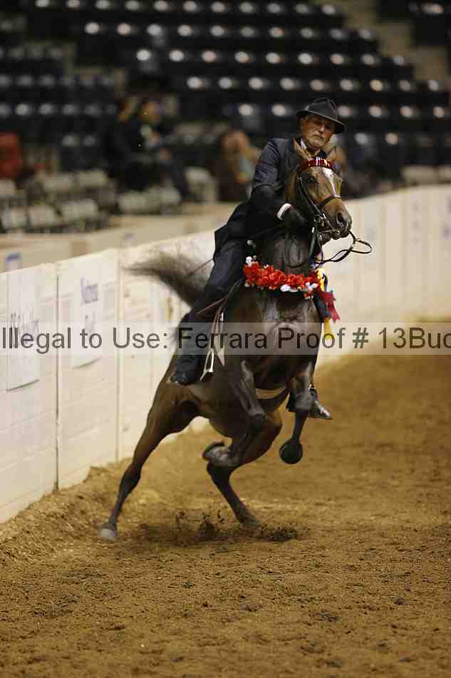 Proof 13buck_4390