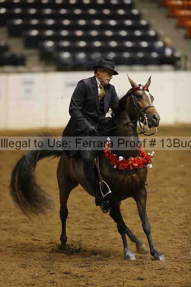 Proof 13buck_4393