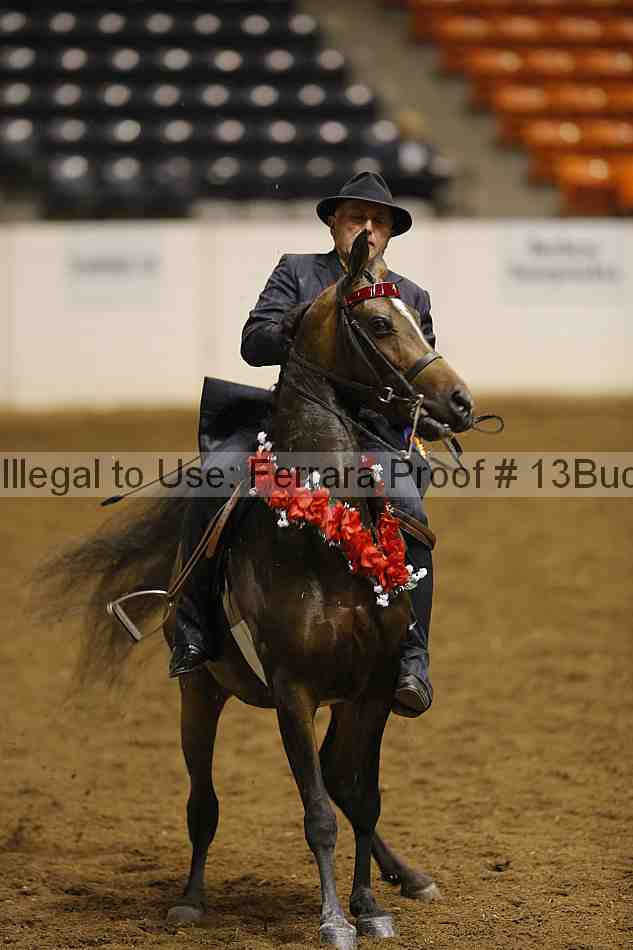 Proof 13buck_4395