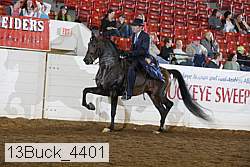 13buck_4401 proof