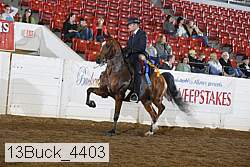 13buck_4403 proof