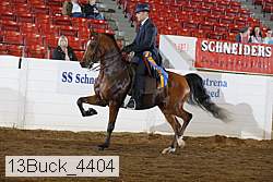13buck_4404 proof