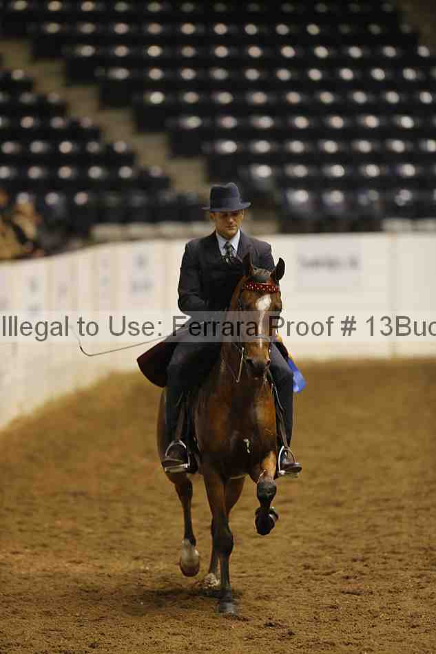 Proof 13buck_4405