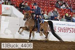 13buck_4406 proof